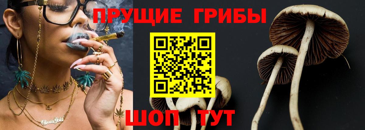 Псилоцибиновые грибы Psilocybine cubensis  Вход с VPN  Биробиджан 